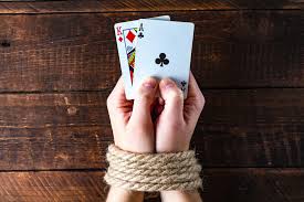 Как войти на сайт Pelican Casino